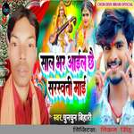 Sal Bhar Aail Chhai Saraswati Mai