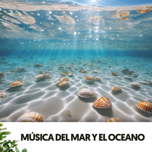 Sonidos del Oceano y el Mar: Serenata de las Olas_poster_image