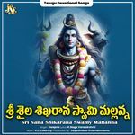 Sri Saila Shikarana Swamy Mallanna