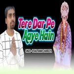 Tere Dar Pe Aaye Hain