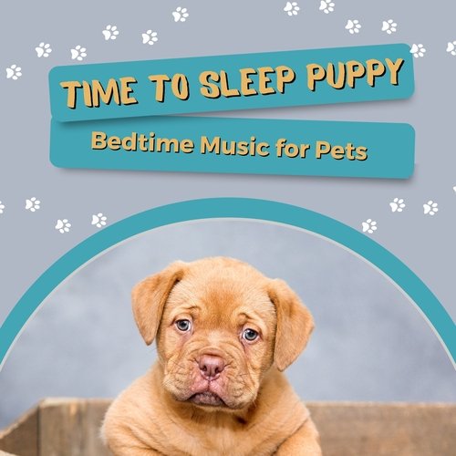 Time to Sleep Puppy - Bedtime Music for Pets_poster_image