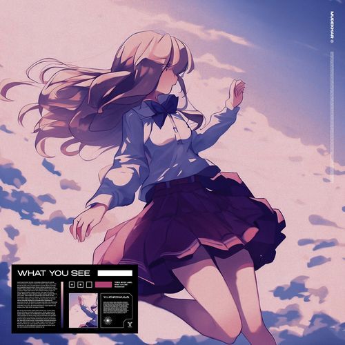 WHAT YOU SEE cover art