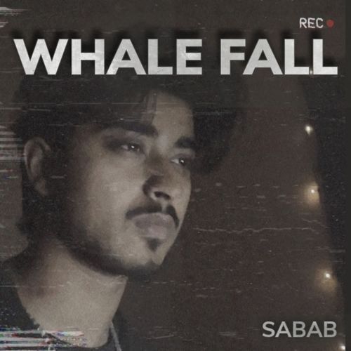 Whale Fall