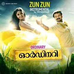 Zun Zun Sundari (Instrumental)