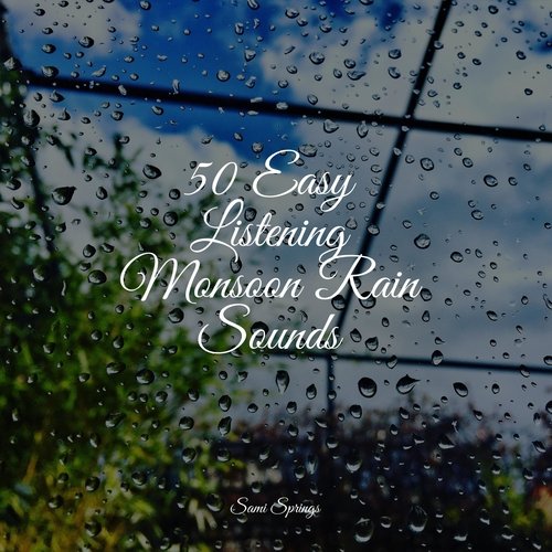 50 Easy Listening Monsoon Rain Sounds