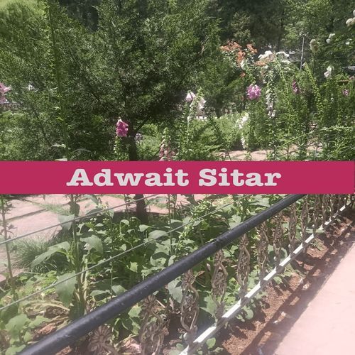 Adwait Sitar