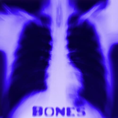 Bones_poster_image