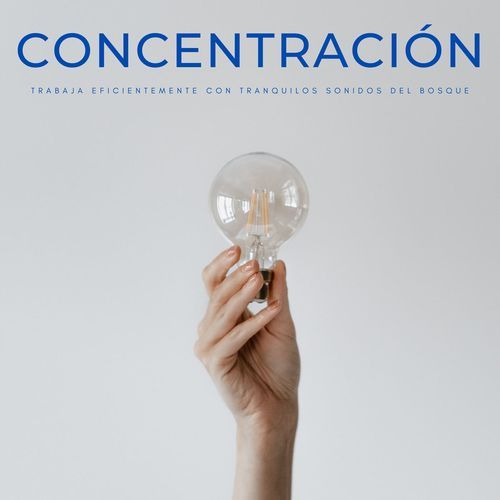 Concentración: Trabaja Eficientemente Con Tranquilos Sonidos Del Bosque