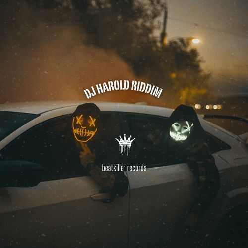 DJ HAROLD RIDDIM DUB cover art
