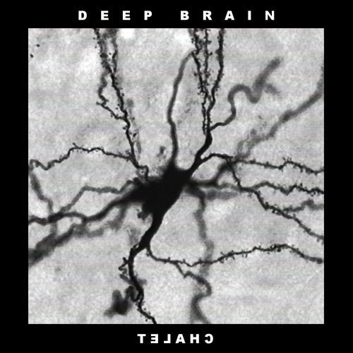 Synth Apraxia cover art