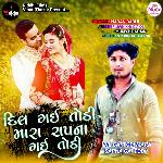 Dil Gai Todi Mara Sapna Gai Todi