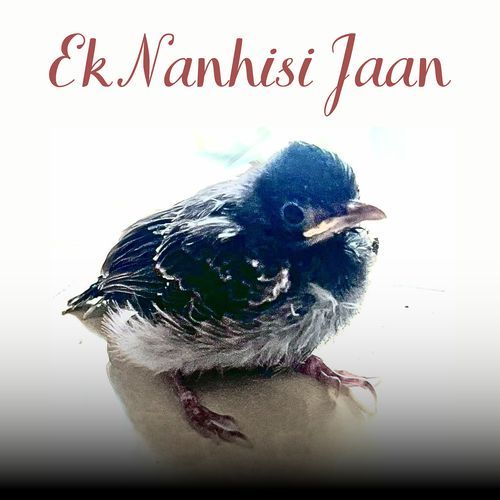 Ek Nanhisi Jaan