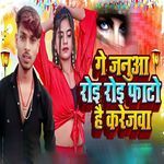 Ge Januaa Roi Roi Fato Hai Krejawa