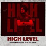 High Level