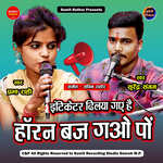 Indicator Dhiliya Gaye Hai Inko Horn Baj Gao Po