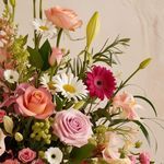 அவள் வந்தால் பூவே பூ