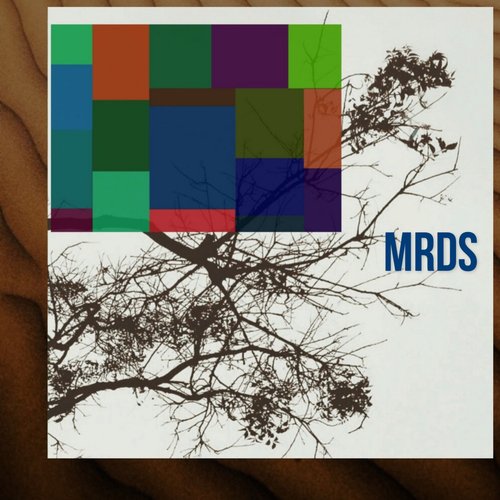 MRDS_poster_image