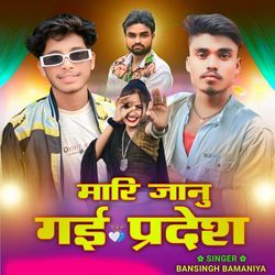 Mari Janu Gai Pardesh