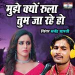 Mujhe Kyon Rula Tum Ja Rahe Ho