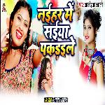 Naihar Me Saiya Pakaraile