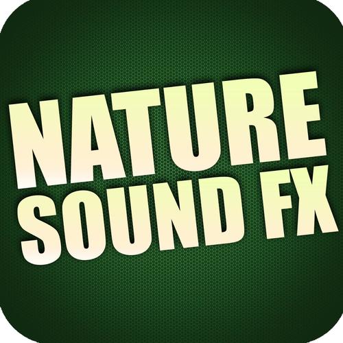 Royalty Free Sound Effects Factory