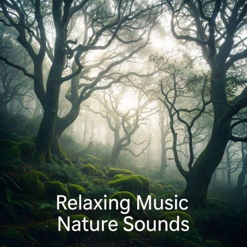Nature Sounds Relaxing Music