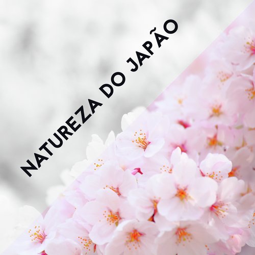 Música de cura cover art