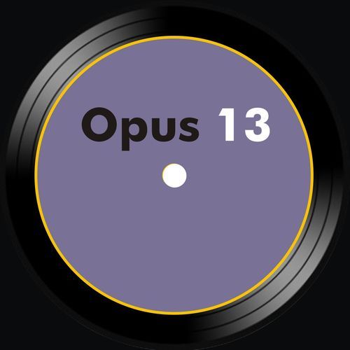 Opus 13