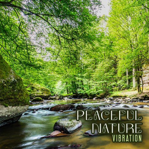 Peaceful Vibrations