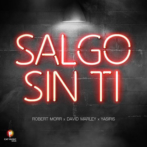 Salgo Sin Ti_poster_image