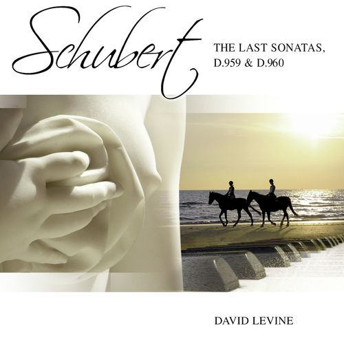 Schubert: The Last Sonatas, D. 959 & D. 960