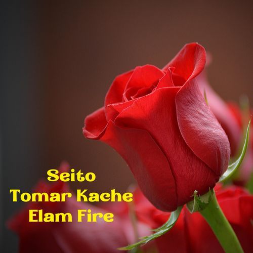 Seito Tomar Kache Elam Fire