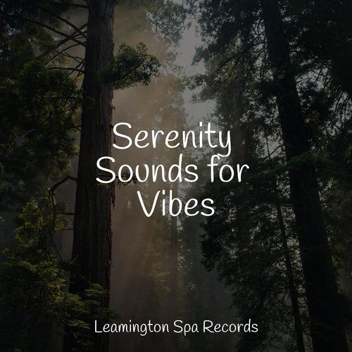 Serenity Sounds for Vibes