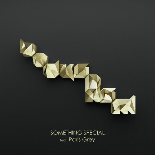 Something Special (feat. Paris Grey)_poster_image