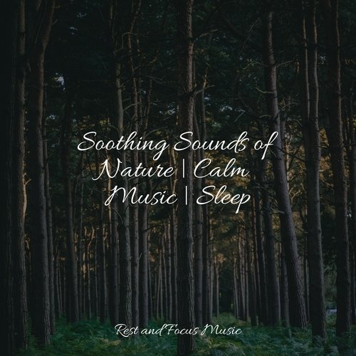 Soothing Sounds of Nature | Calm Music | Sleep_poster_image