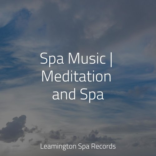 Meditating Music cover art