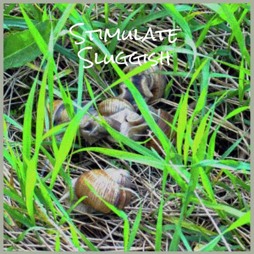 Stimulate Sluggish cover art