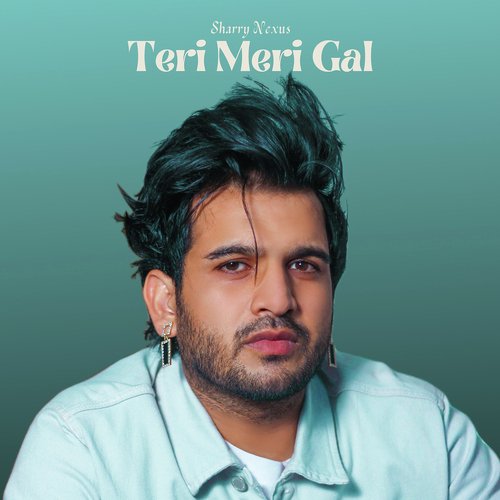 Teri Meri Gal