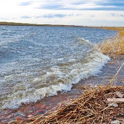 The Whispering Refuge