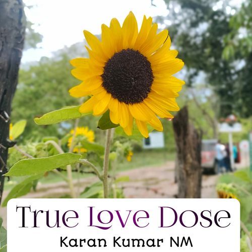 True Love Dose