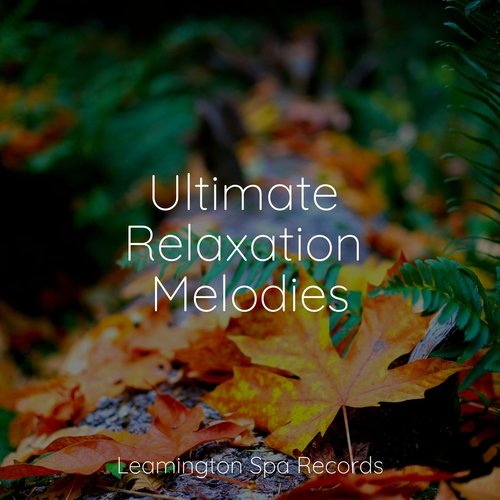 Wellbeing cover art