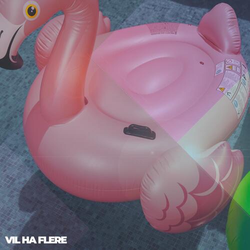 Vil Ha Flere cover art
