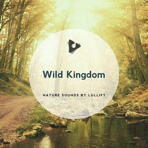 Champions of Nature cover art