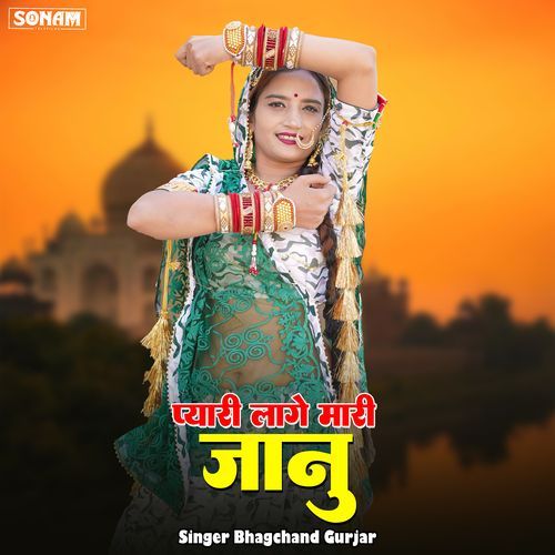 pyari lage mari janu