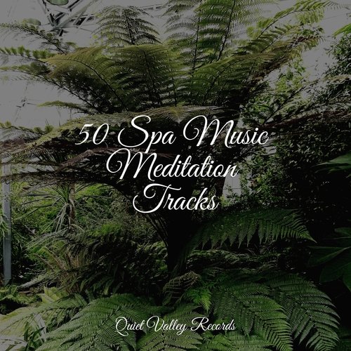 Focused, Relaxed cover art