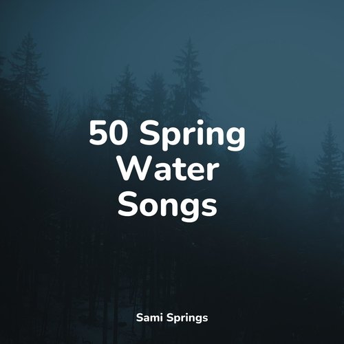 50 Spring Water Songs_poster_image