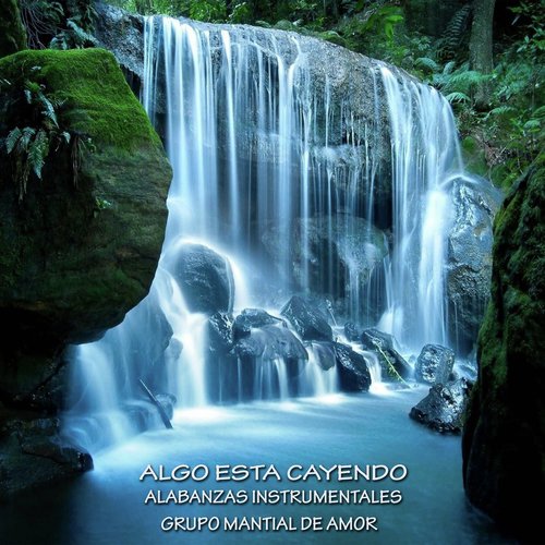 Algo Está Cayendo