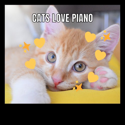 calm piano cats love cover art