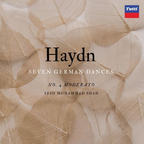 Haydn SGD: Moderato No.4