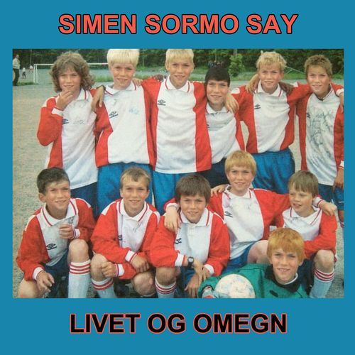 Utdrag fra partiprogrammet til Simen Sormo Says parti til sterk nedsettelse av skatter og avgifter på ullgensere og stearinlys (Live) cover art